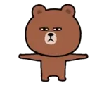 Bear B 16