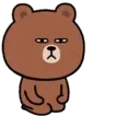 Bear B 12