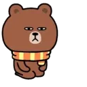 Bear B 28