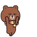 Bear B 9