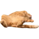 Catsute 4