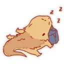 Cute Bearded Dragons 8