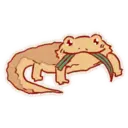 Cute Bearded Dragons 11