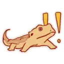Cute Bearded Dragons 6