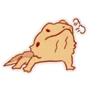Cute Bearded Dragons 13