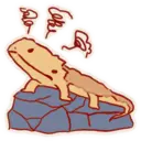 Cute Bearded Dragons 9