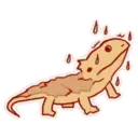 Cute Bearded Dragons 7