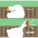 dino 3