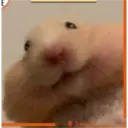@Daup