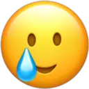 iPhone Emoji Most Wanted 16