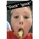 "Gock" "gock"