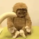 Monkeys2 6