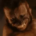 Monkeys2 8