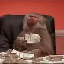 Monkeys2 3