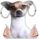 Nuevos Stikers 8