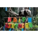 panda birthday 1