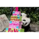 panda birthday 3