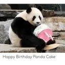 panda birthday 5