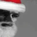 Reaction 8 Navidad 16