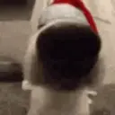 Reaction 8 Navidad 6
