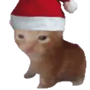 Reaction 8 Navidad 23
