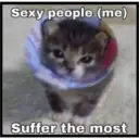Sad cats 14