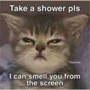 Sad cats 15