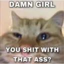 Sad cats 19