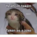 Sad cats 1