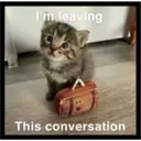 Sad cats 9