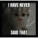 Sad cats 10