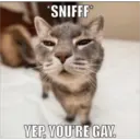 Sad cats 20