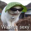 Sad cats 28