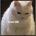 Sad cats 6