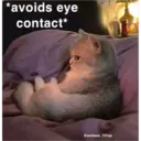 Sad cats 27