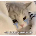 Sad cats 26