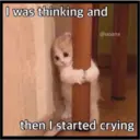 Sad cats 4
