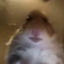 Shitpost ta outro nivel 2
