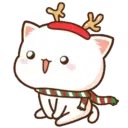 MOCHIS CAT Extra"W" MOV 12