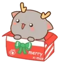 MOCHIS CAT Extra"W" MOV 24