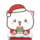 MOCHIS CAT Extra"W" MOV 6