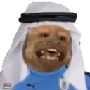 George qatarí 13