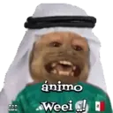 George qatarí 17