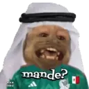 George qatarí 12
