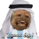 George qatarí 6