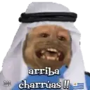 George qatarí 5