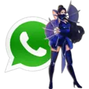 Whatsapp 17