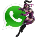 Whatsapp 13
