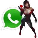 Whatsapp 30