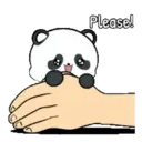 ️ Lovely Panda ️.MOV 12
